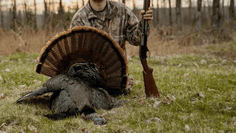 turkey hunting forum